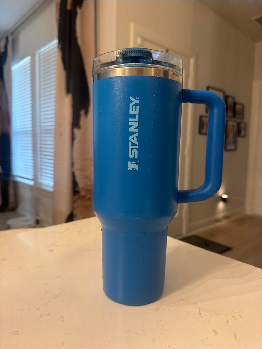 Stanley Quencher Pro Tour flip top 40oz